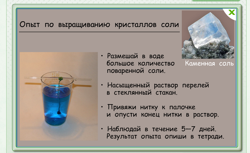 Проект выращивание кристаллов в домашних условиях из соли