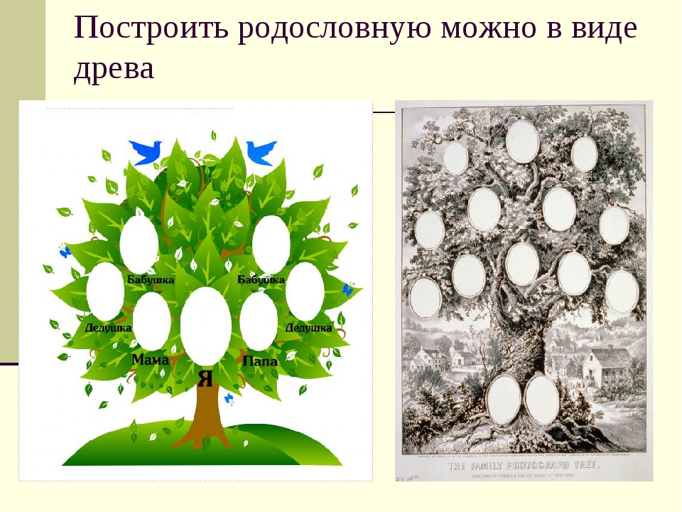 Генеалогическое дерево окружающий 2. Проект Древо семьи 2 класс окружающий мир. Родословная семьи. Генеалогическое дерево в виде дерева. Генеалогическое Древо моей семьи.