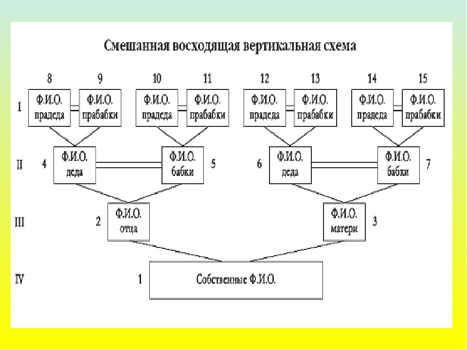 Как составить генеалогическое дерево своей семьи образец заполнения