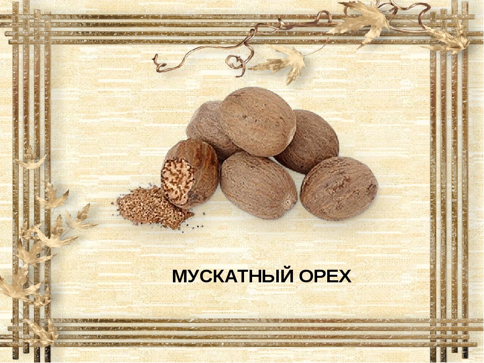 Мускатный орех какова. Мускатный орех презентация. Мускатный орех описание. Чем полезен мускатныйторех. Мускатный орех Товароведение.