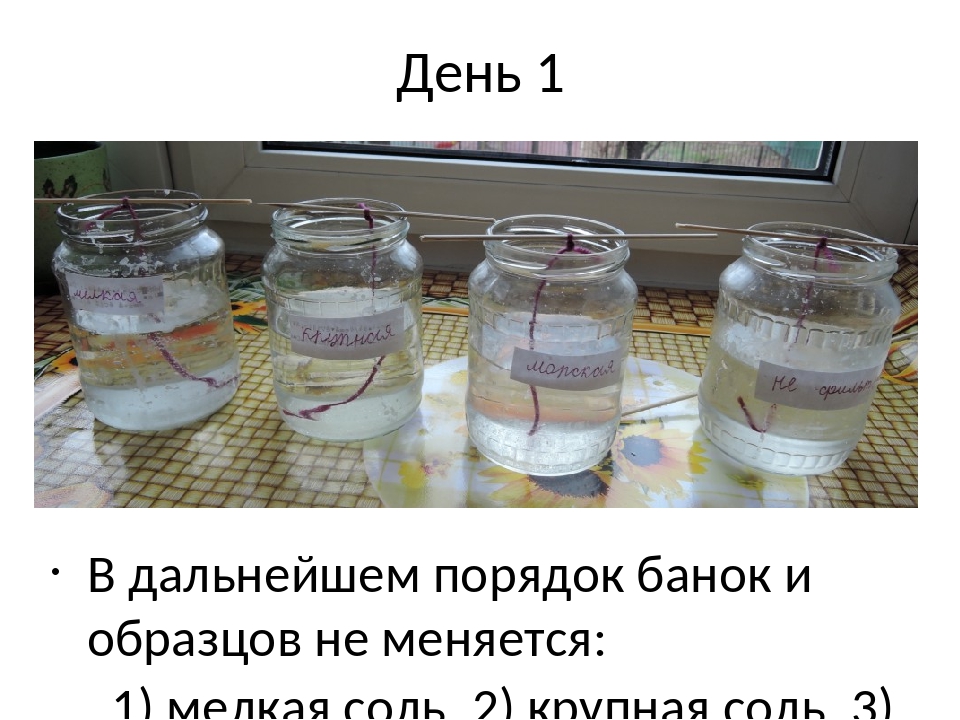 Кристалл вырастить из соли за 1 день. Выращивание кристаллов из соли.