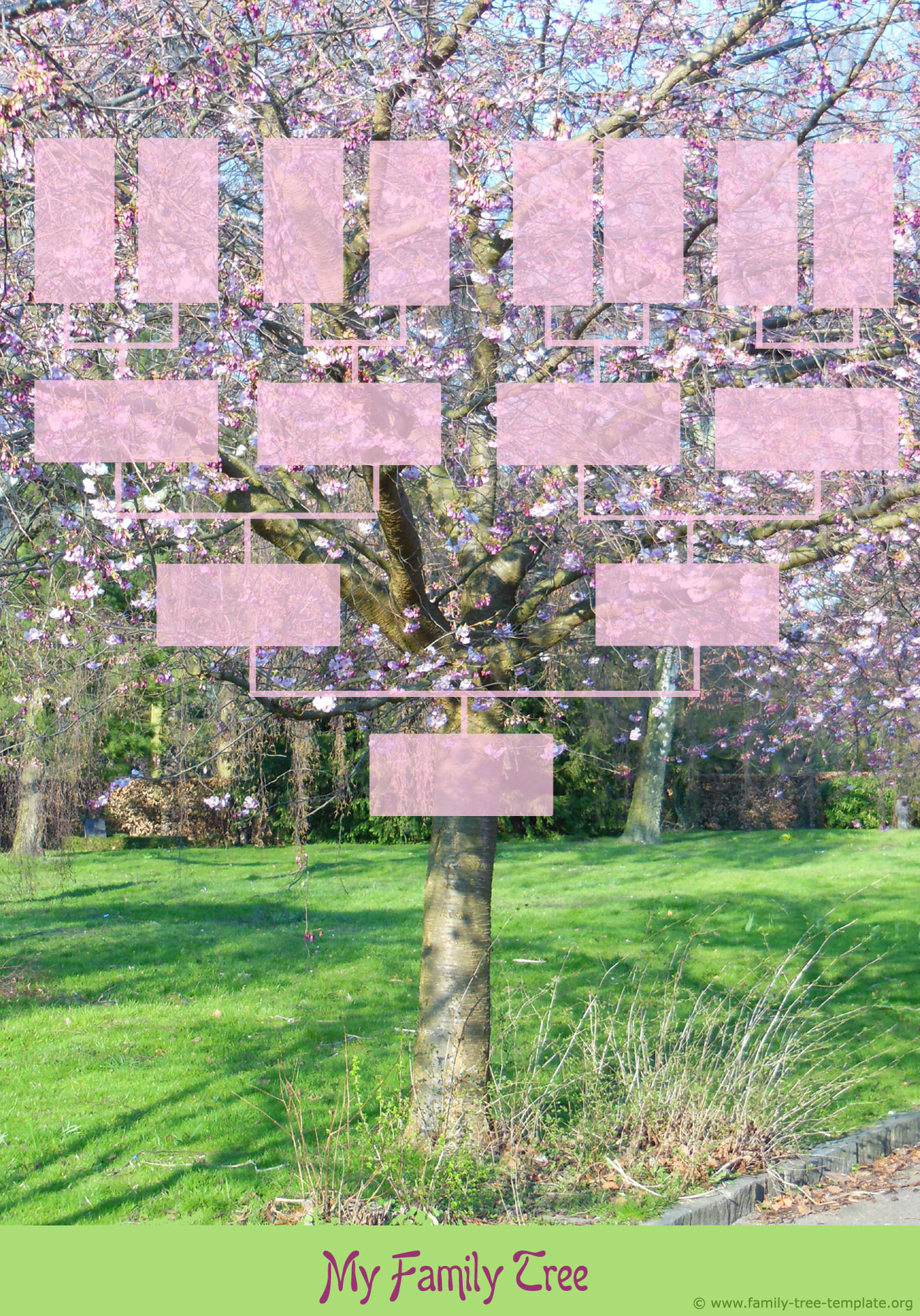 Printable family tree template design. Spring tree with small pink flowers.