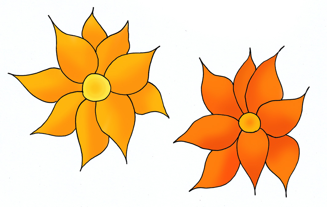 Orange flower drawings