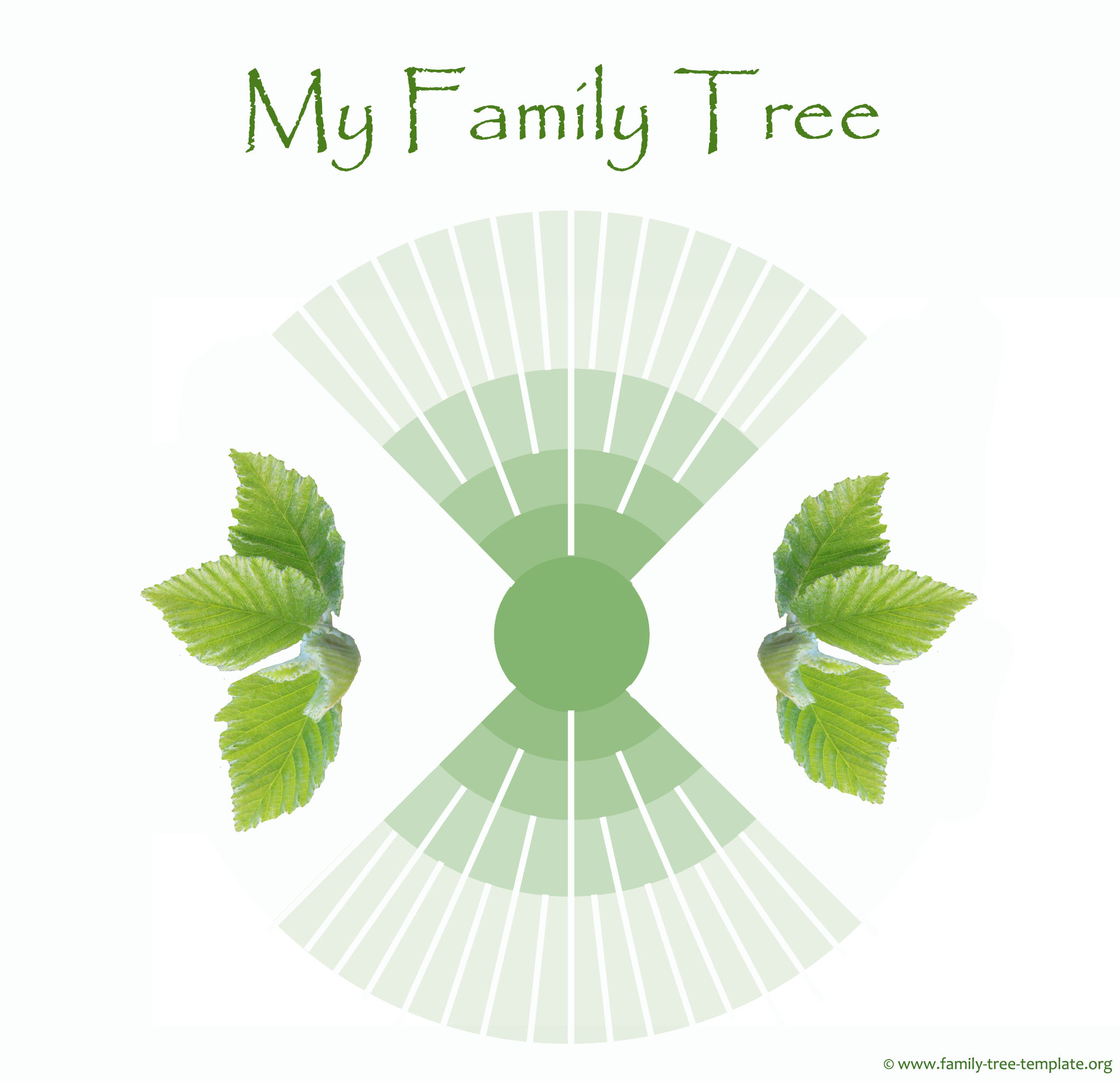 5 generations ancestry tree for kids.