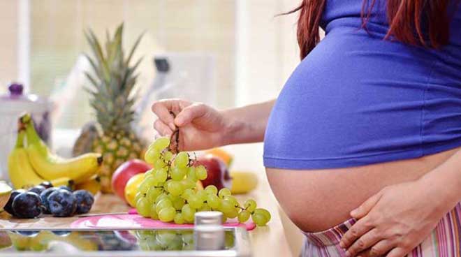 Важно питаться правильно в первом триместре беременности, когда закладываются все органы малыша.
