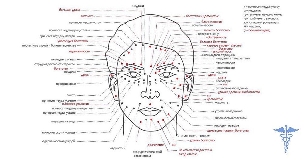 Схема прыщей на лице и их значение у женщин