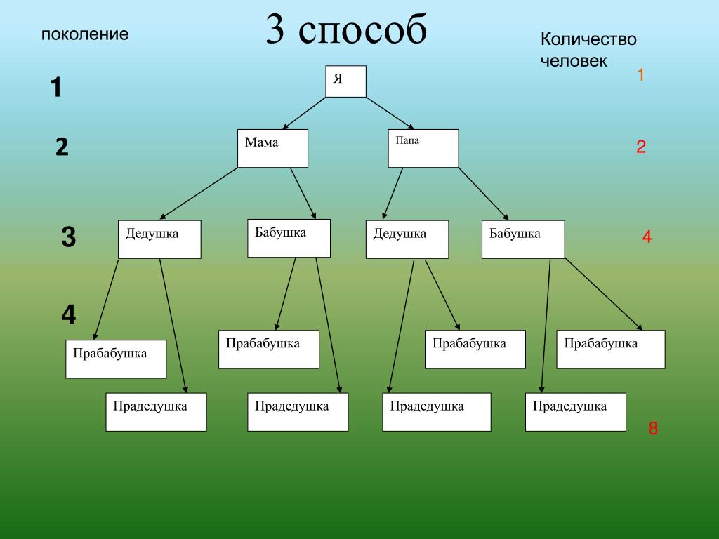 Проект родословное дерево 10 класс