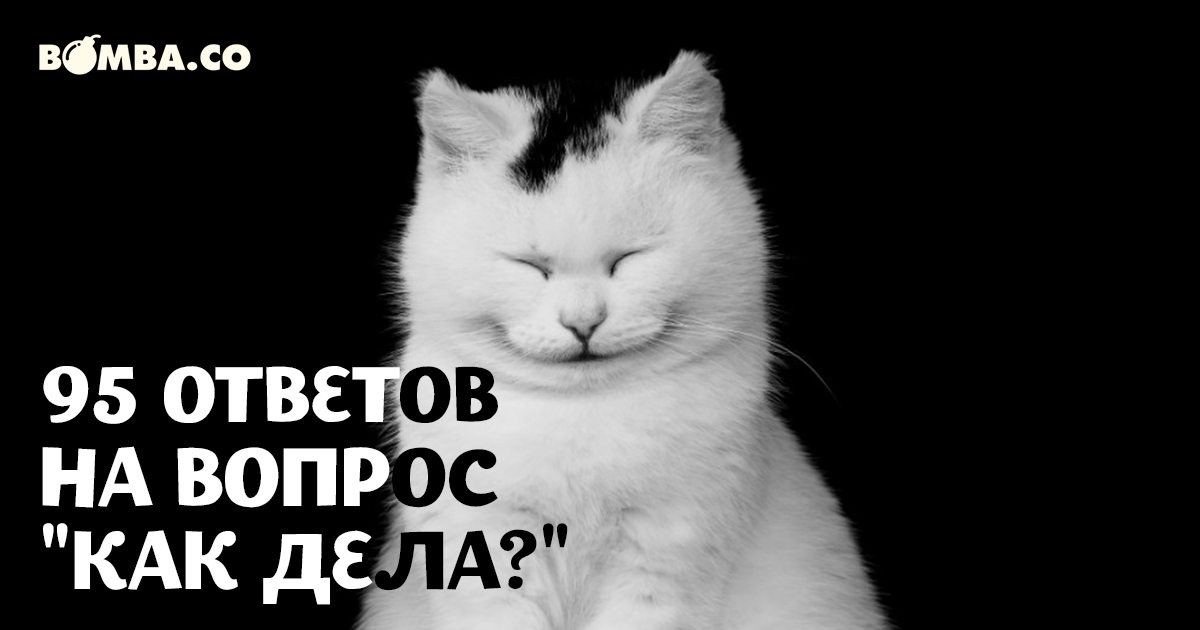 Ответ на вопрос как жизнь. Как ответить на вопрос как дела. Что ответить на как дела. Ответ на вопрос как дела в картинках. Ответ на вопрос как дела в картинках прикольные.