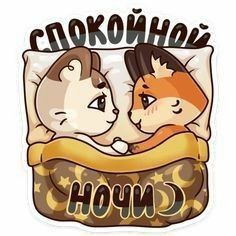 Пожелания спокойной ночи жене Пожелания спокойной ночи жене