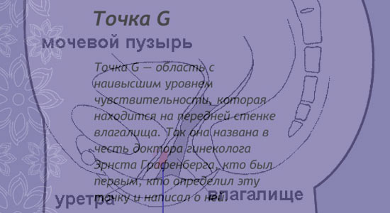 Точка g фото у девушек фото