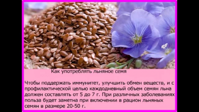 Пить семена лена. Семена льна полезные. Семена льна для организма. Семена льна употреблять. Лён обыкновенный семена.
