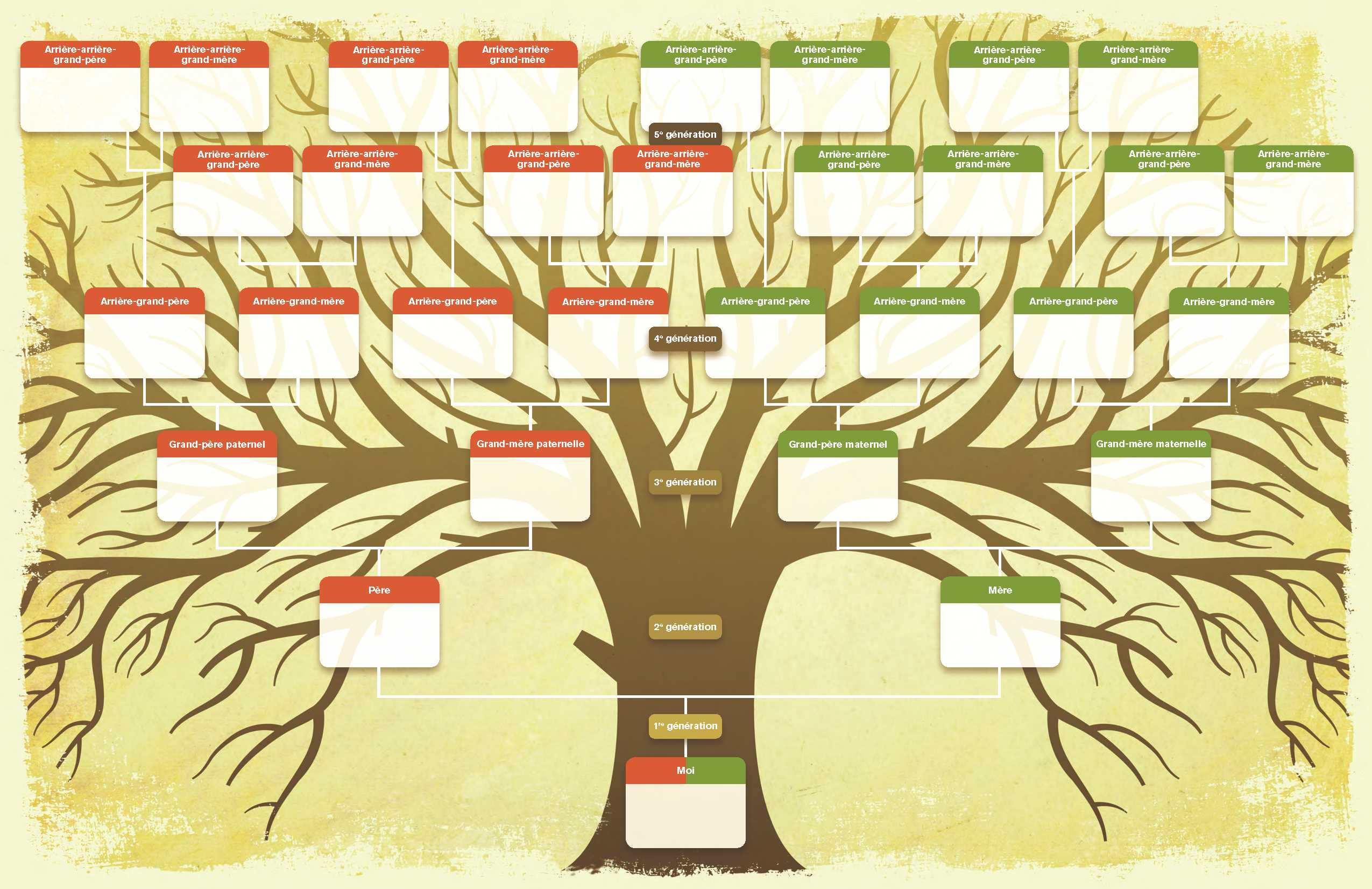 Роды деревьев. Генеалогическое Древо Family Tree. Заготовка для генеалогического дерева. Генеалогическое дерево шаблон для заполнения. Лист для генеалогического дерева.