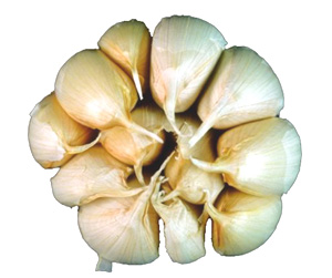 Cloves of garlic. The more you eat, the better for your cholesterol.