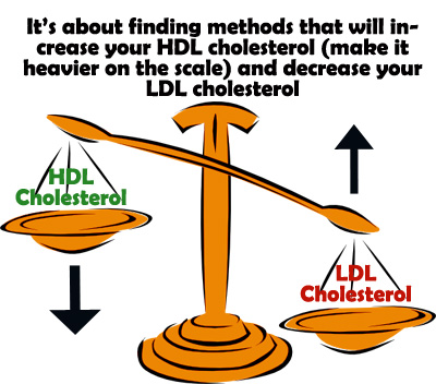Methods to balance HDL cholesterol and LDL cholesterol levels. Picture of a scale. 
