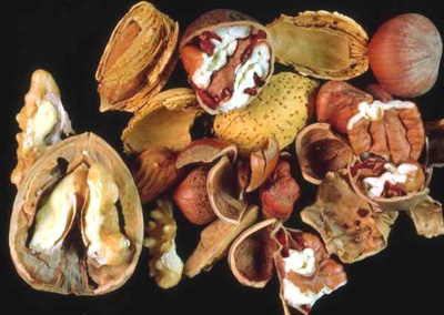 Nuts are rich in unsaturated fatty acids and omega 3. 