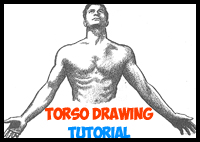 How to Draw the Human Chest and Torso