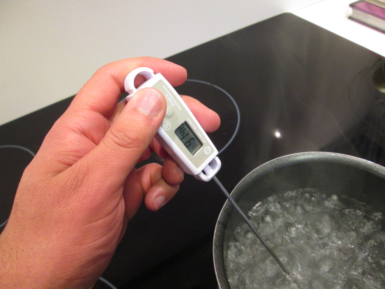 Включи температуру на кухне. Термометр для кипятка. Измерить температуру воды. Градусник в кипятке. Градусник для воды.