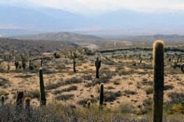 New Destination: Driving California's Mojave Desert and Deat
